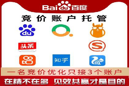 深入了解SEM托管公司的操作技巧与成功案例